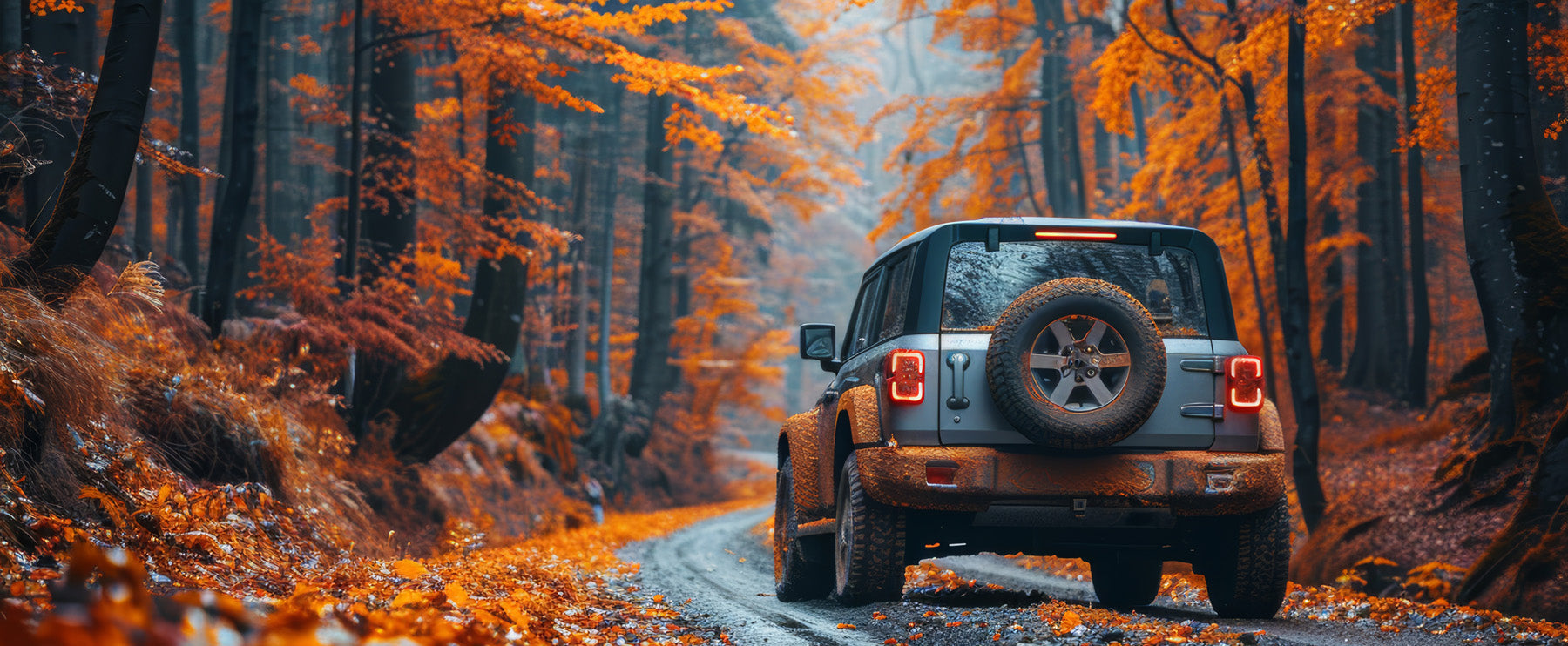 collection-banner-image