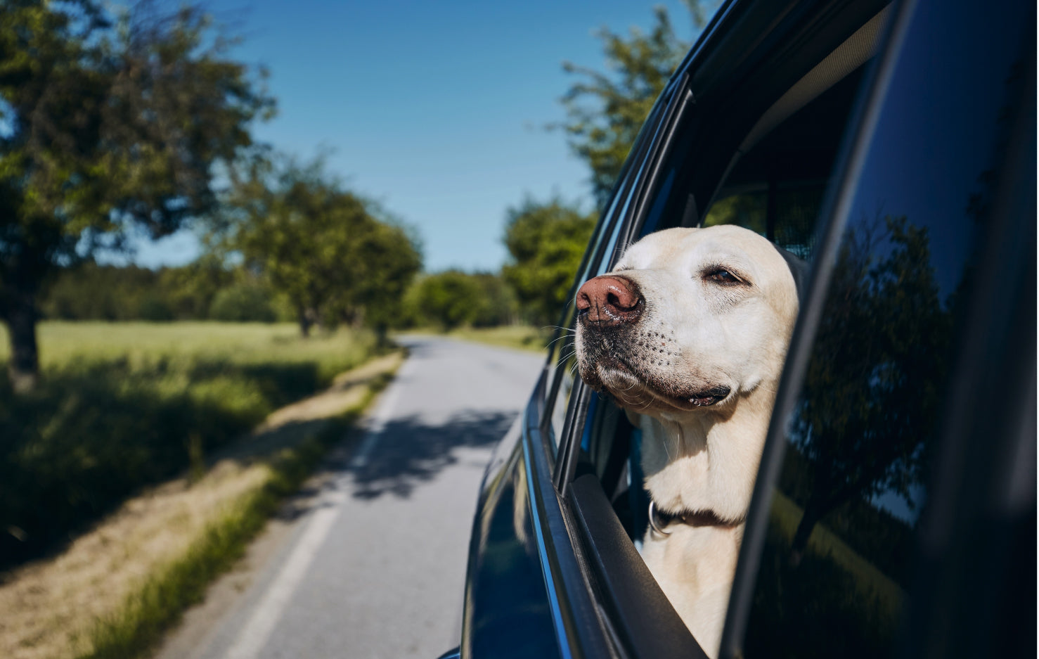 Driving SAFETY